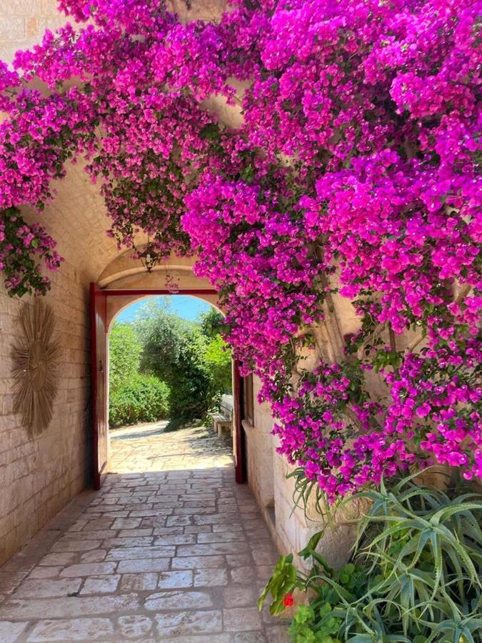 Masseria Morrone Остуни Экстерьер фото