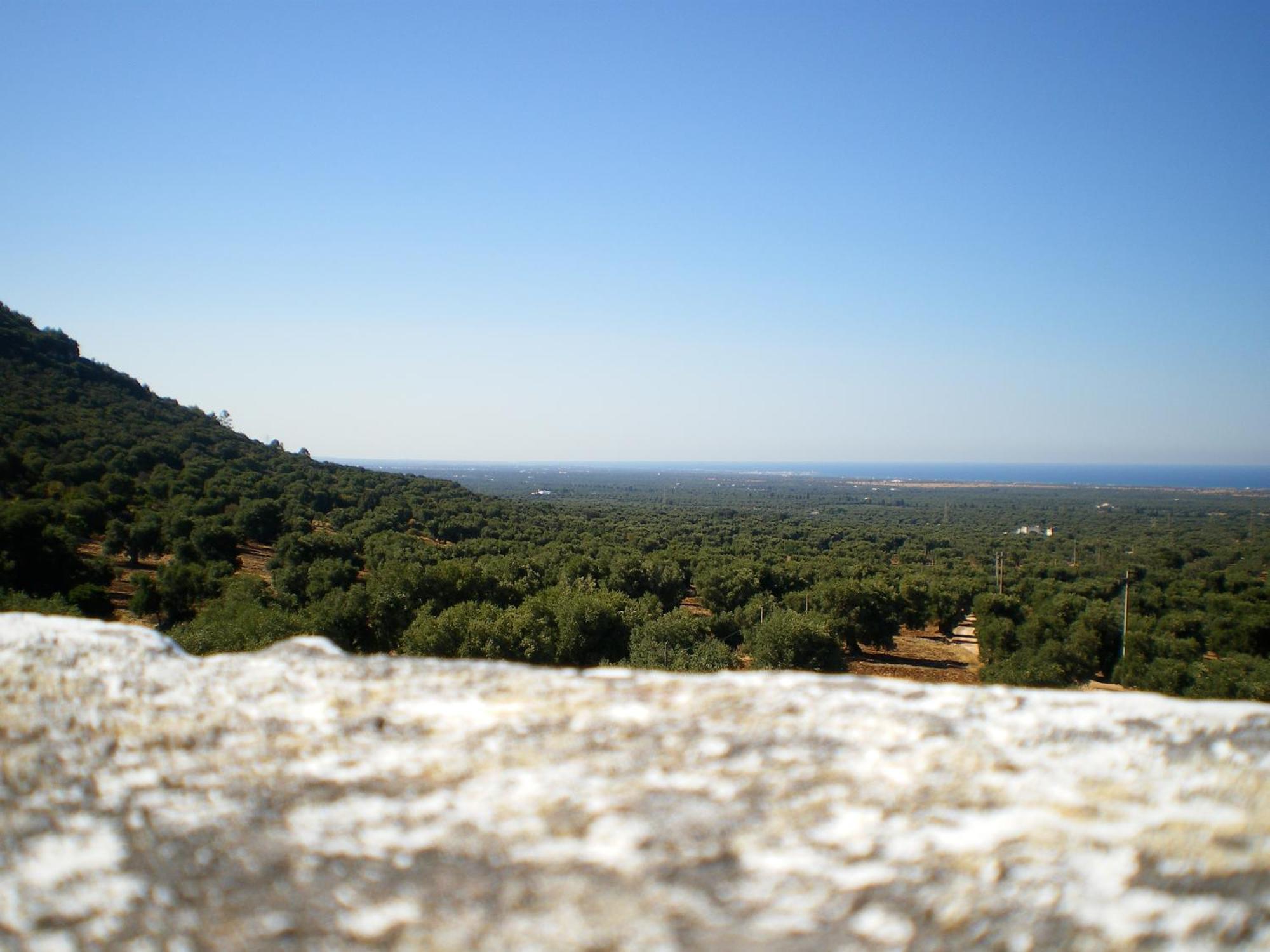 Masseria Morrone Остуни Экстерьер фото