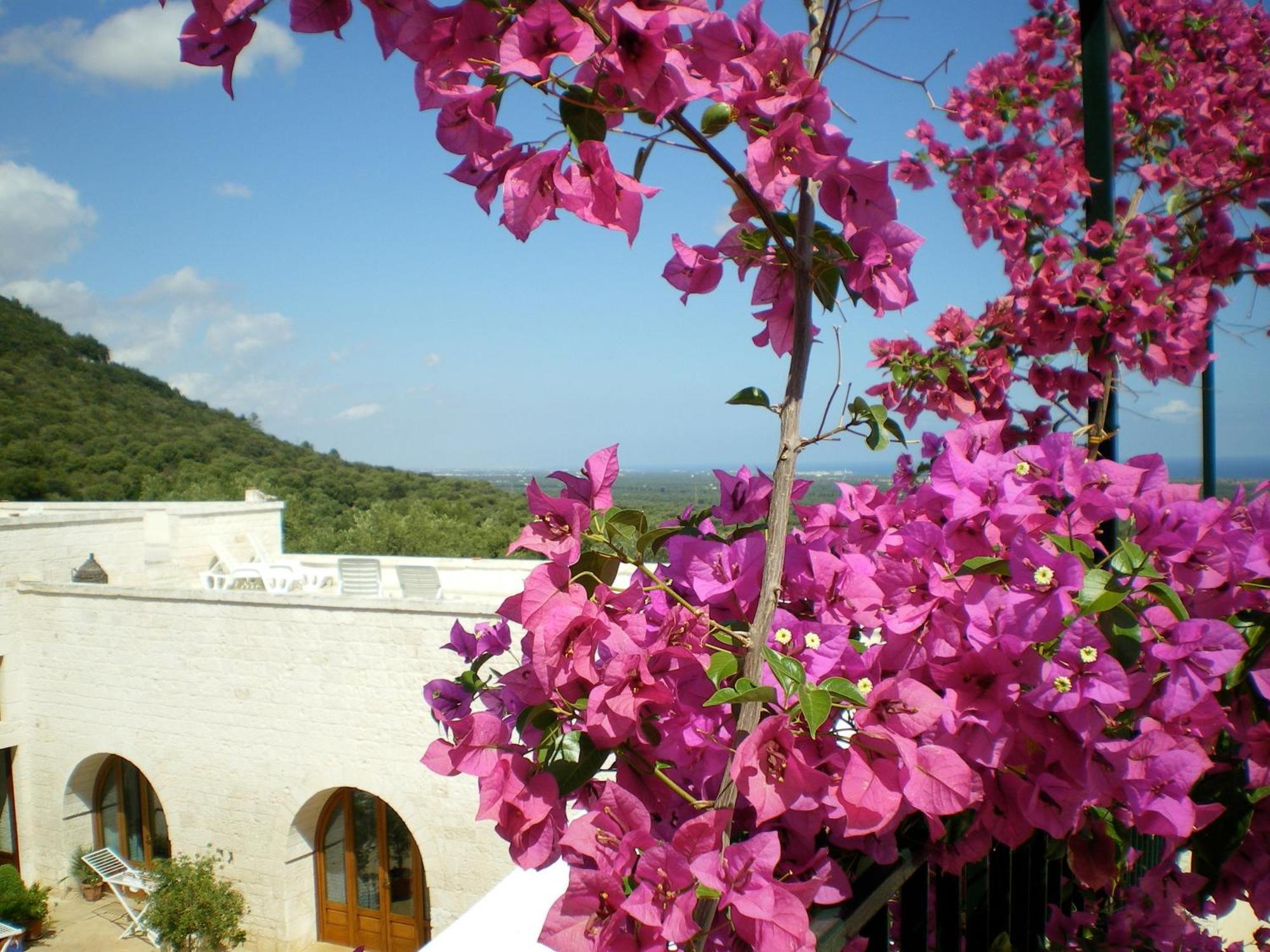 Masseria Morrone Остуни Экстерьер фото
