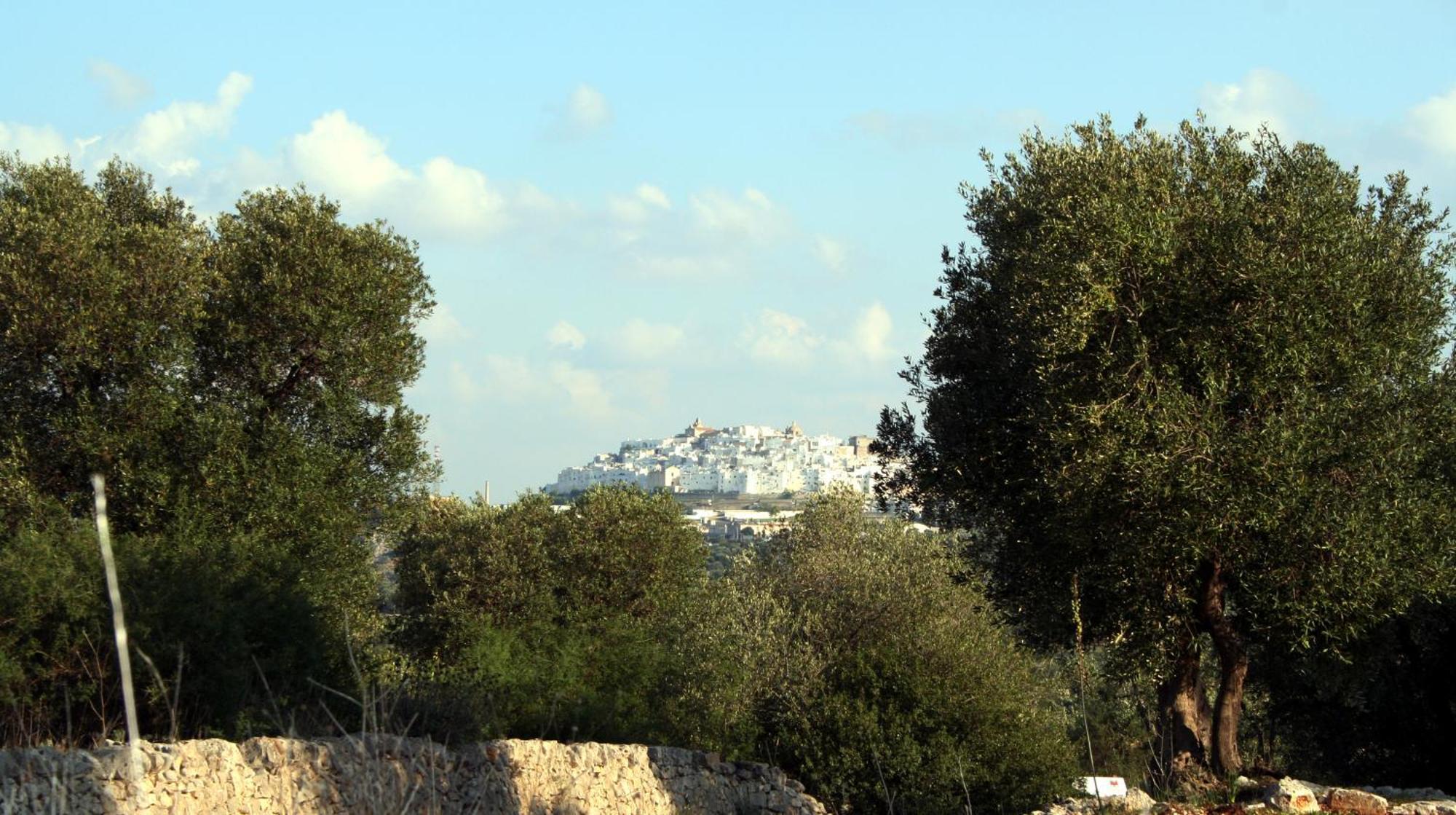 Masseria Morrone Остуни Экстерьер фото